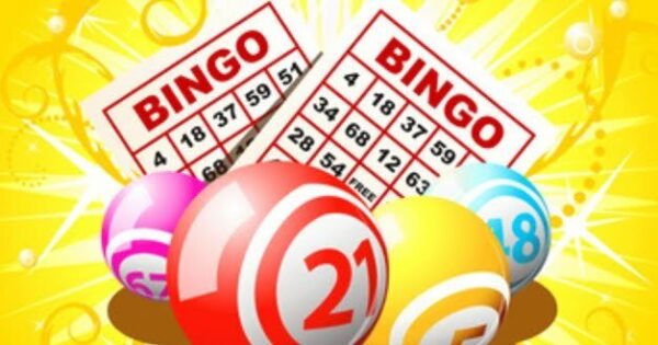 How to play bonus ball bingo lotto