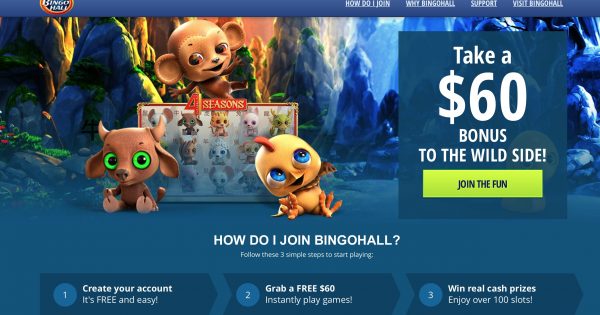 Bingohall Online Casino Login