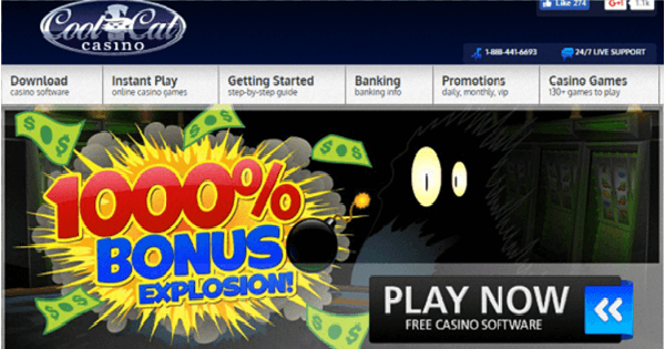 cool cat casino free spins 2022