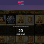 20 Free Spins at Wild Fortune bonus code