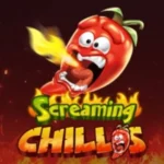 45 Free Spins on ‘Screaming Chillis’ at Miami Club Casino bonus code