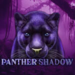 50 Free Spins on ‘Panther Shadow’ at Bingo Village bonus code